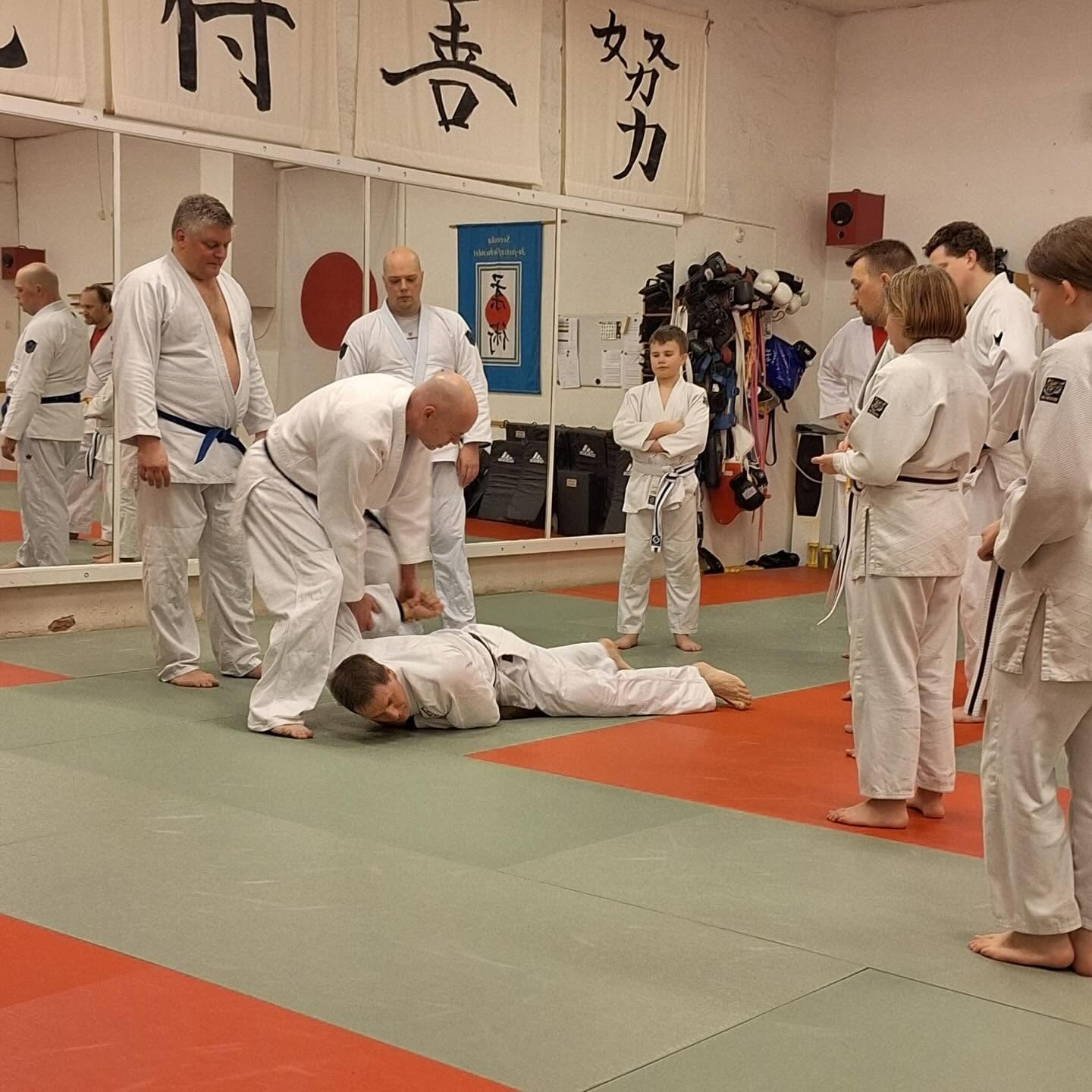 Vuxna tränar ju-jutsu i dojon